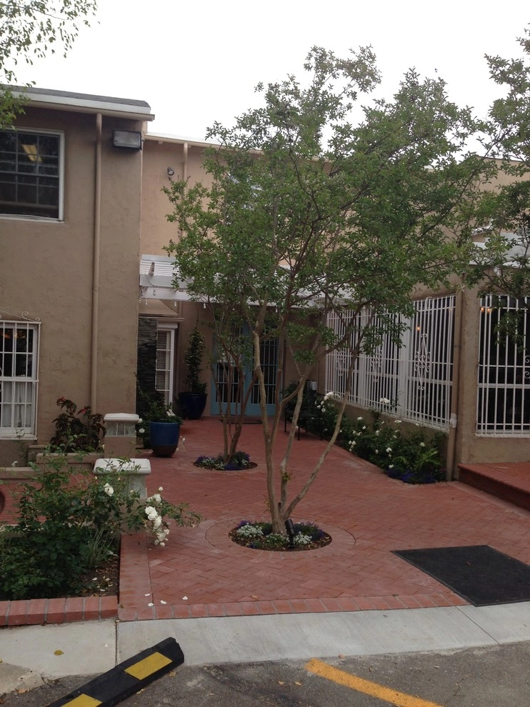 Prunin Arboriculture & Landscape - Photo 14