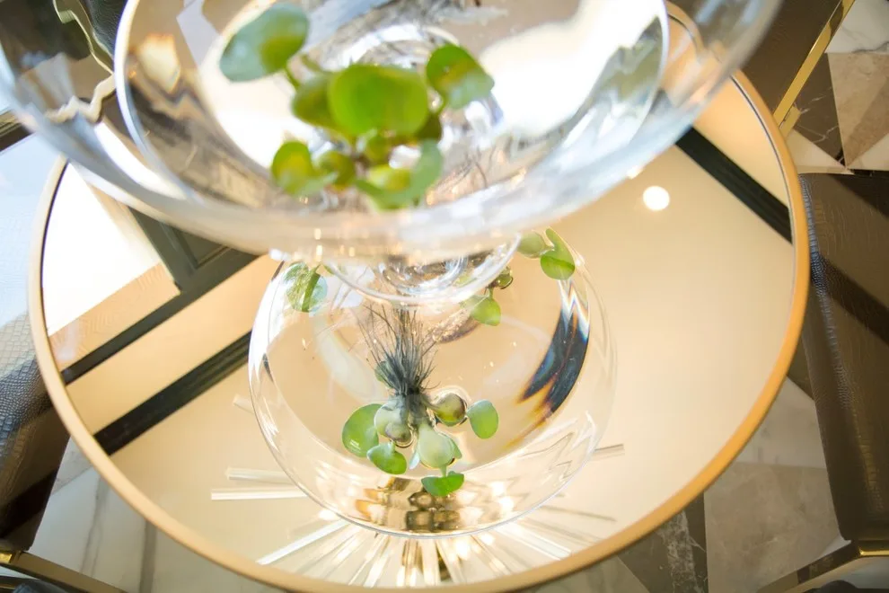Project Walden by Erin Melkonian Designs - Photo 38