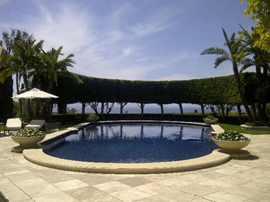 Lawn Care by Prunin Arboriculture & Landscape - Photo 2