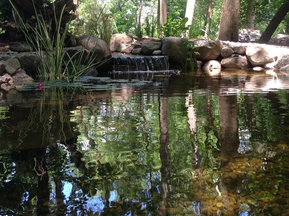 Put's Ponds & Gardens - Photo 13