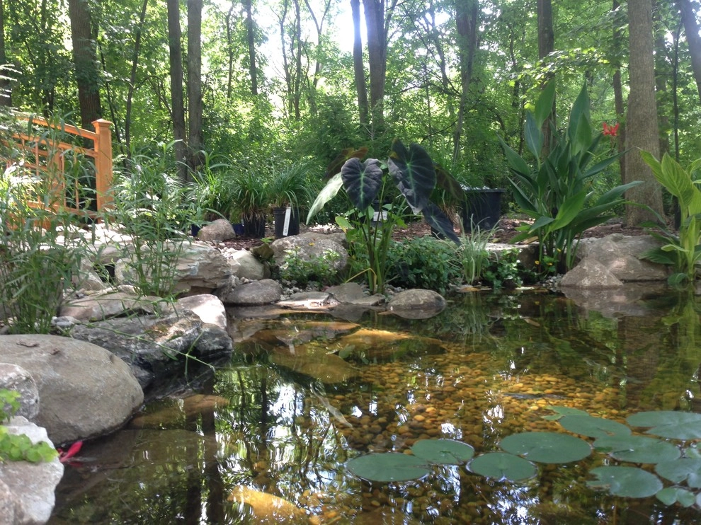 Lost loved one - Dedication Pond by Put's Ponds & Gardens - Photo 19