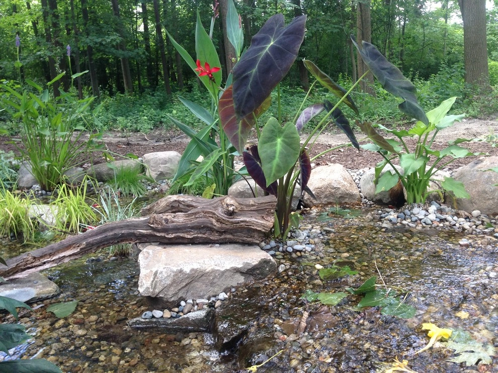 Lost loved one - Dedication Pond by Put's Ponds & Gardens - Photo 3