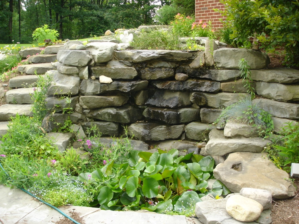 Put's Ponds & Gardens - Photo 2
