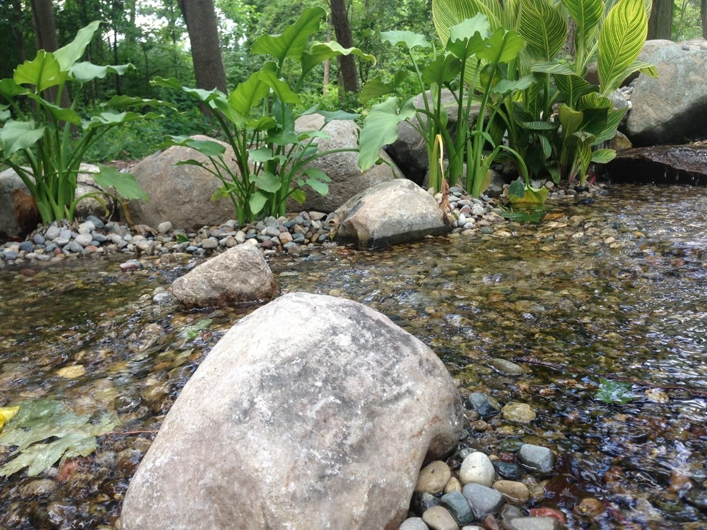 Put's Ponds & Gardens - Photo 4