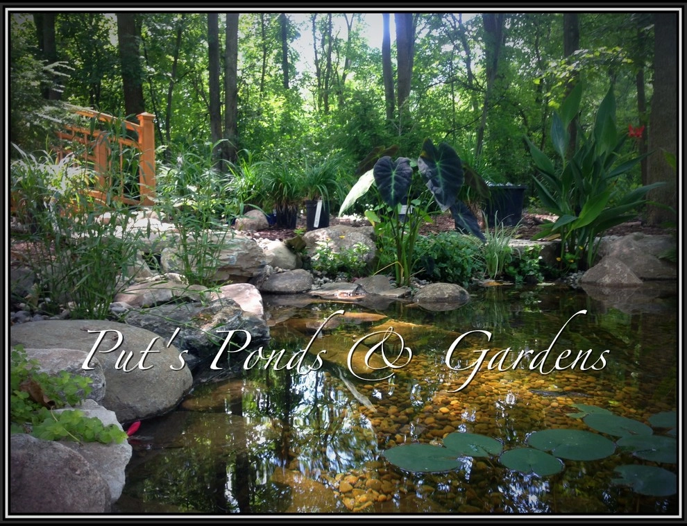 Lost loved one - Dedication Pond by Put's Ponds & Gardens - Photo 16