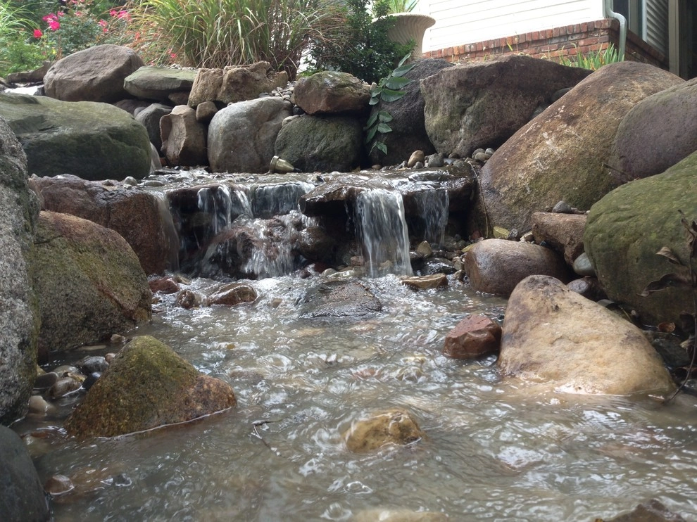 Put's Ponds & Gardens - Photo 7