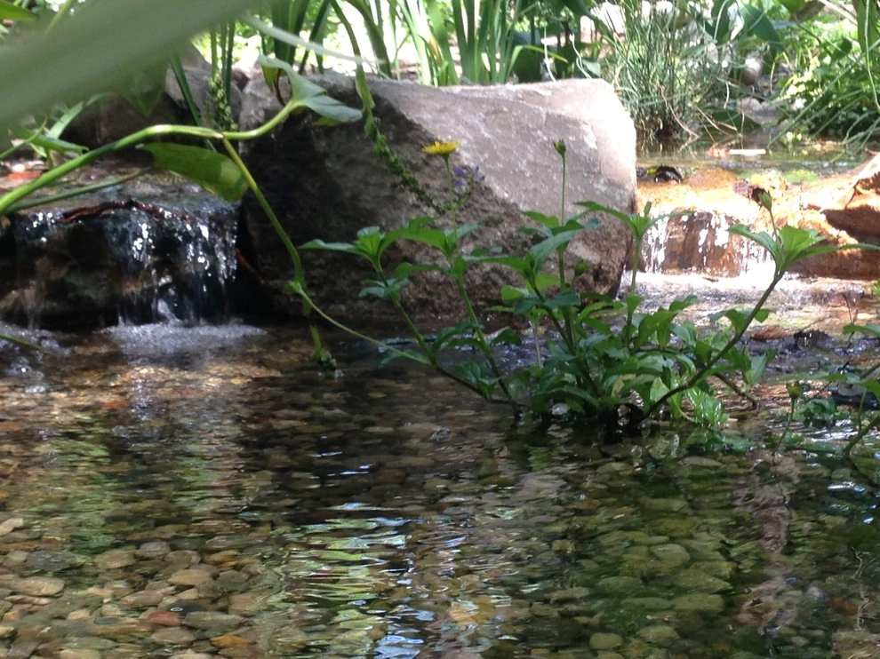 Lost loved one - Dedication Pond by Put's Ponds & Gardens - Photo 15