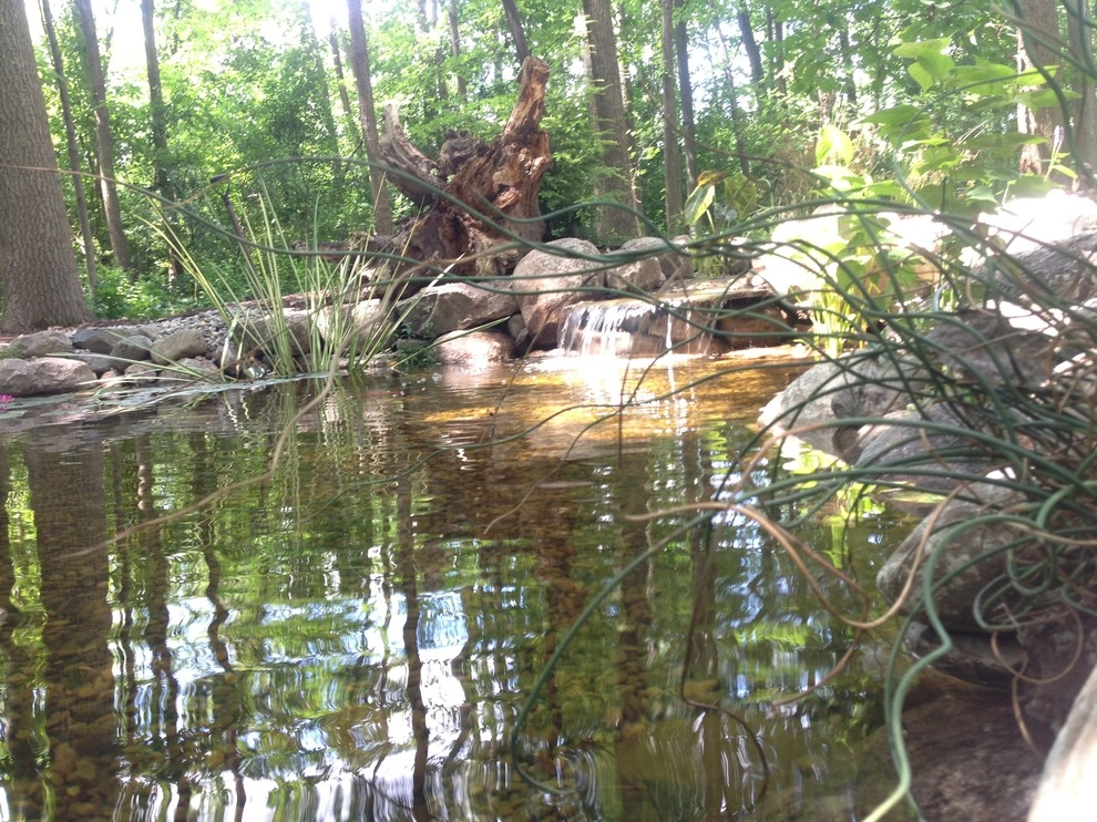 Lost loved one - Dedication Pond by Put's Ponds & Gardens - Photo 4