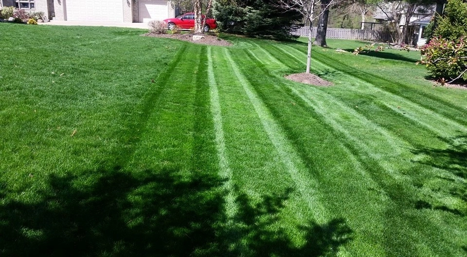 Lawn Maintenance by Quad City Lawn And Landscape - Photo 5