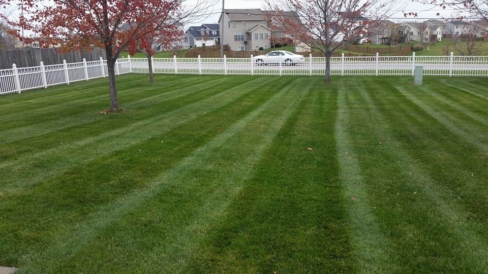 Lawn Maintenance by Quad City Lawn And Landscape - Photo 3
