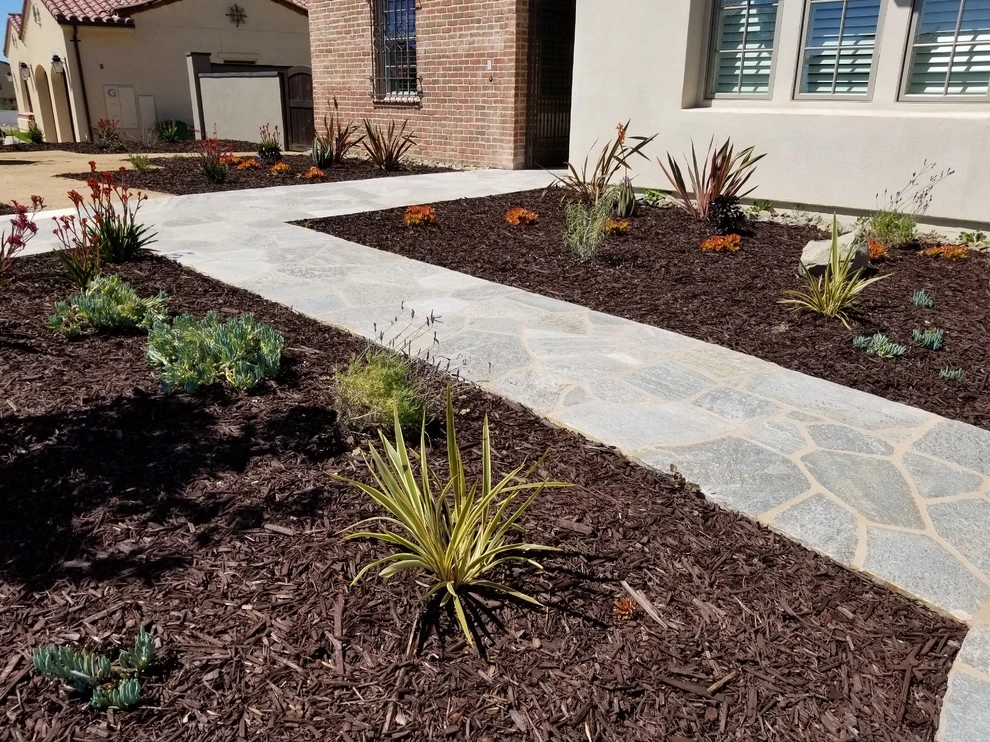 Front to Back Landscape by Quetzal Landscapes, Inc. - Photo 6