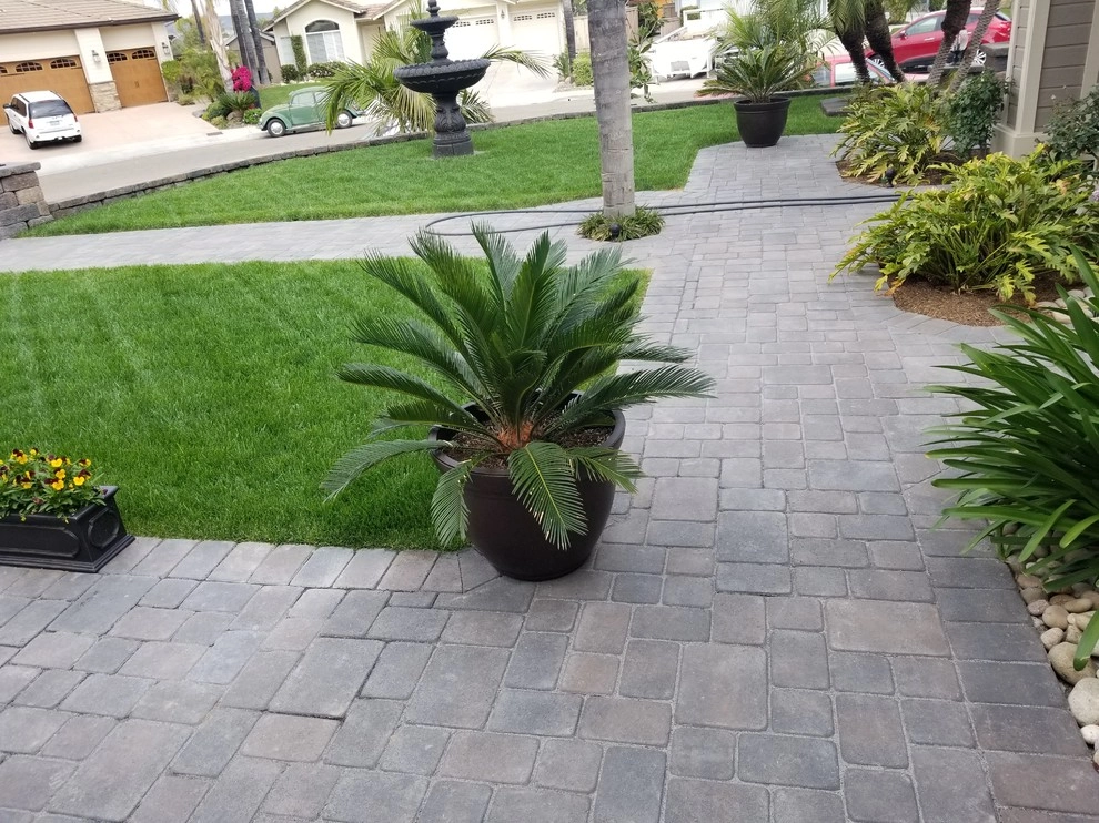 Front yard landscape by Quetzal Landscapes, Inc. - Photo 6