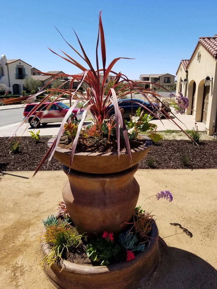 Front to Back Landscape by Quetzal Landscapes, Inc. - Photo 10