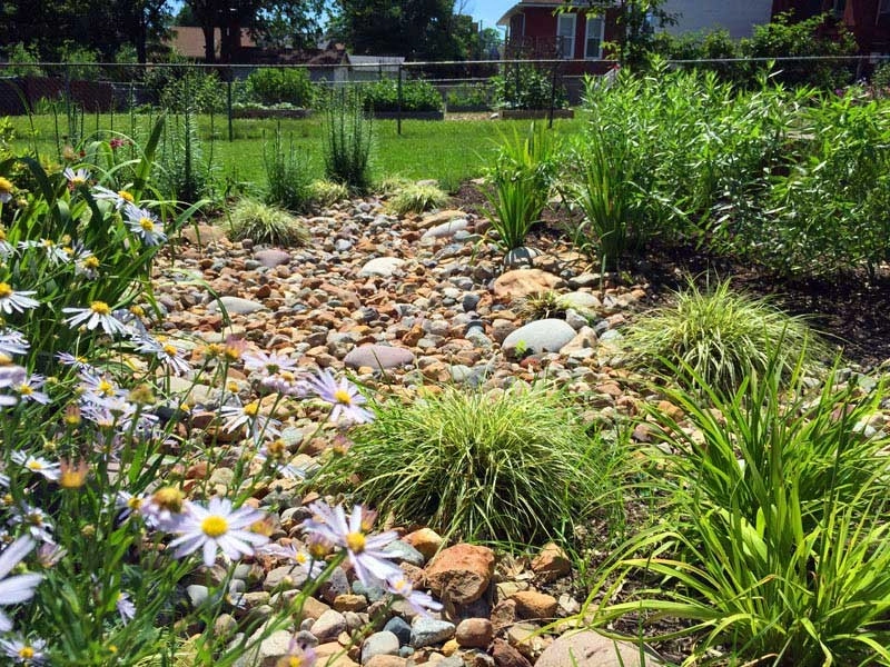 Rainscaping / Rain Gardens by Quiet Village Landscaping - Photo 20