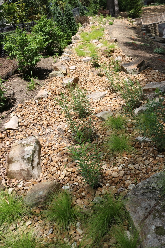 Rainscaping / Rain Gardens by Quiet Village Landscaping - Photo 17