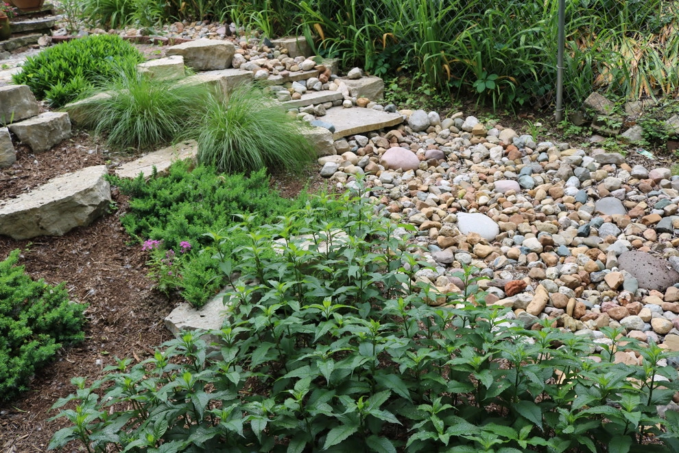 Rainscaping / Rain Gardens by Quiet Village Landscaping - Photo 16