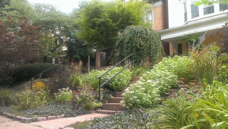 Front Entrance Landscaping by Quiet Village Landscaping - Photo 10