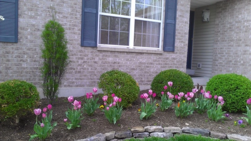 Front Entrance Landscaping by Quiet Village Landscaping - Photo 8