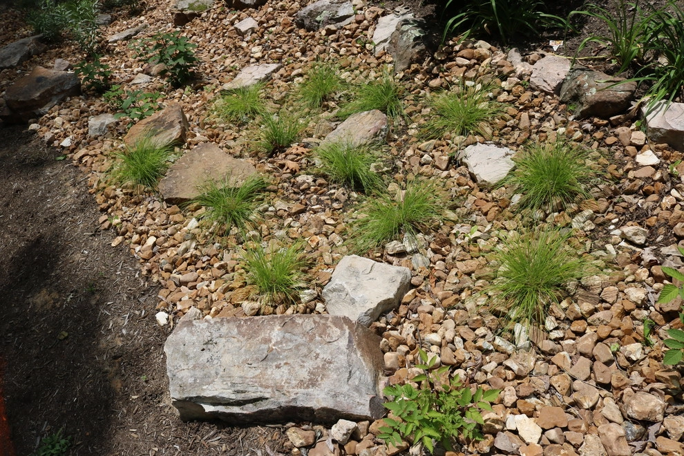 Rainscaping / Rain Gardens by Quiet Village Landscaping - Photo 9