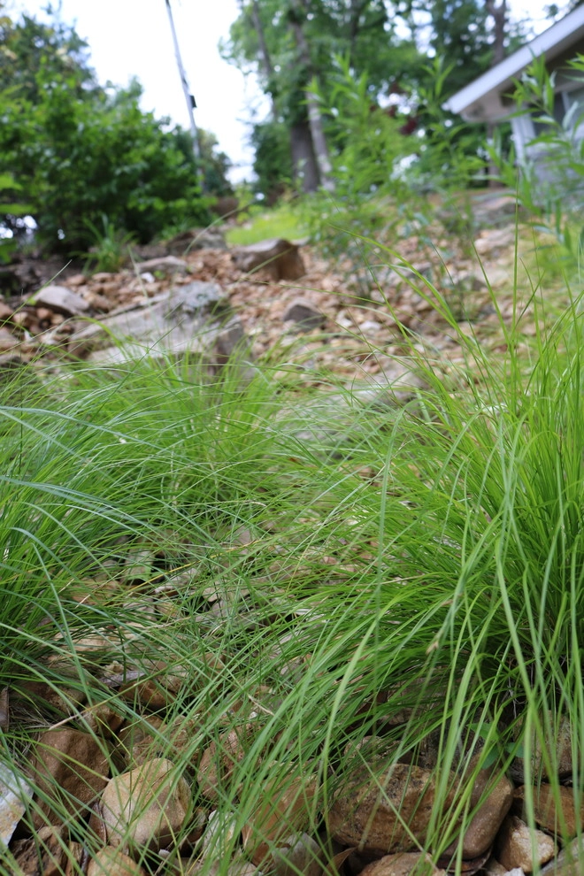 Rainscaping / Rain Gardens by Quiet Village Landscaping - Photo 13