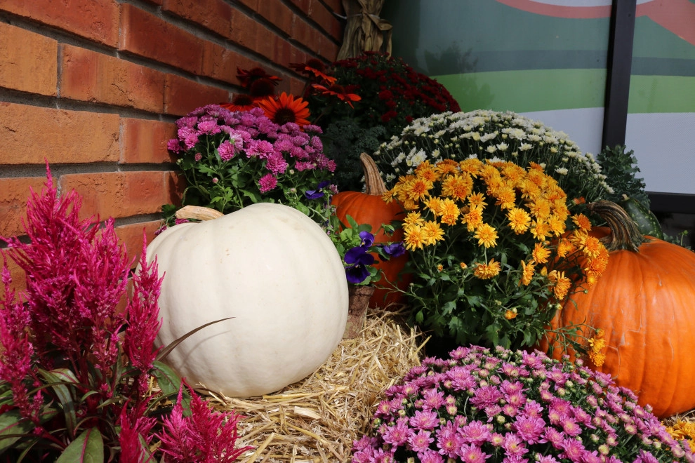 Seasonal Services : Autumn & Winter by Quiet Village Landscaping - Photo 12