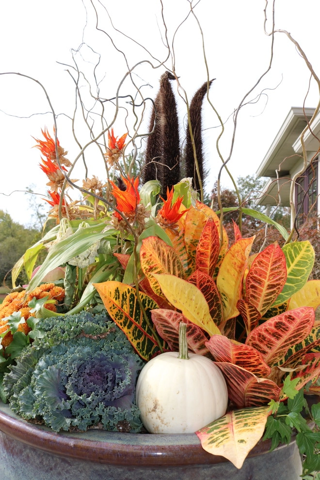 Seasonal Services : Autumn & Winter by Quiet Village Landscaping - Photo 13