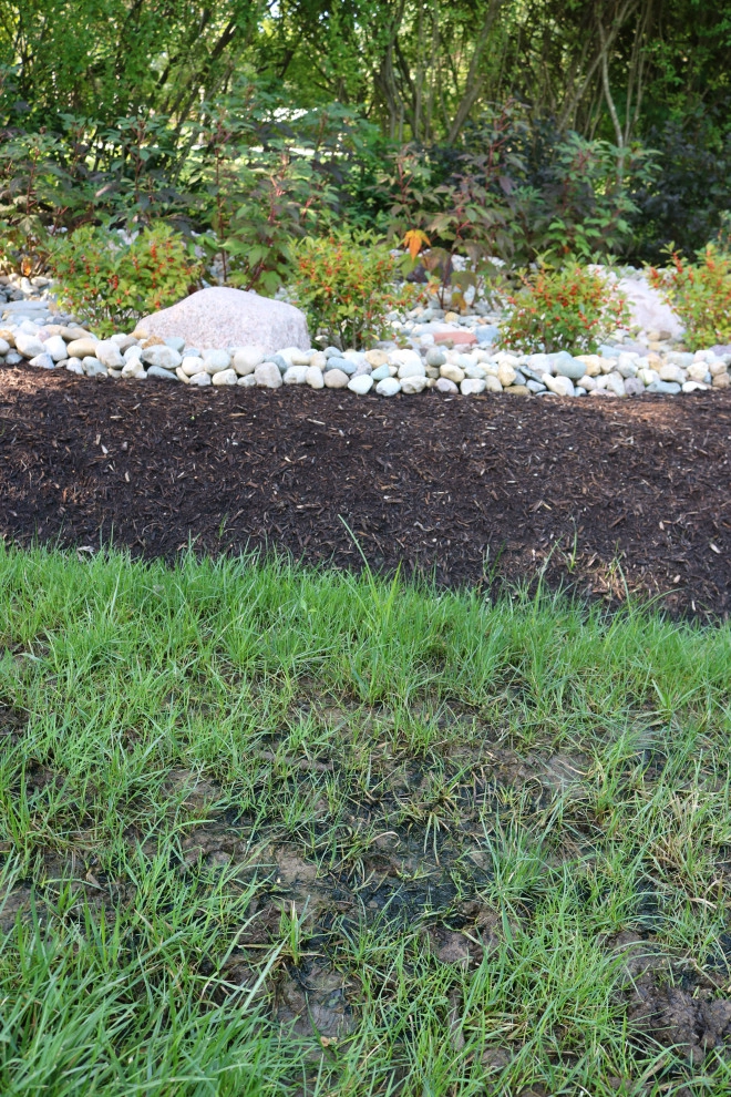 Rain Garden for Drainage Issues by Quiet Village Landscaping - Photo 3