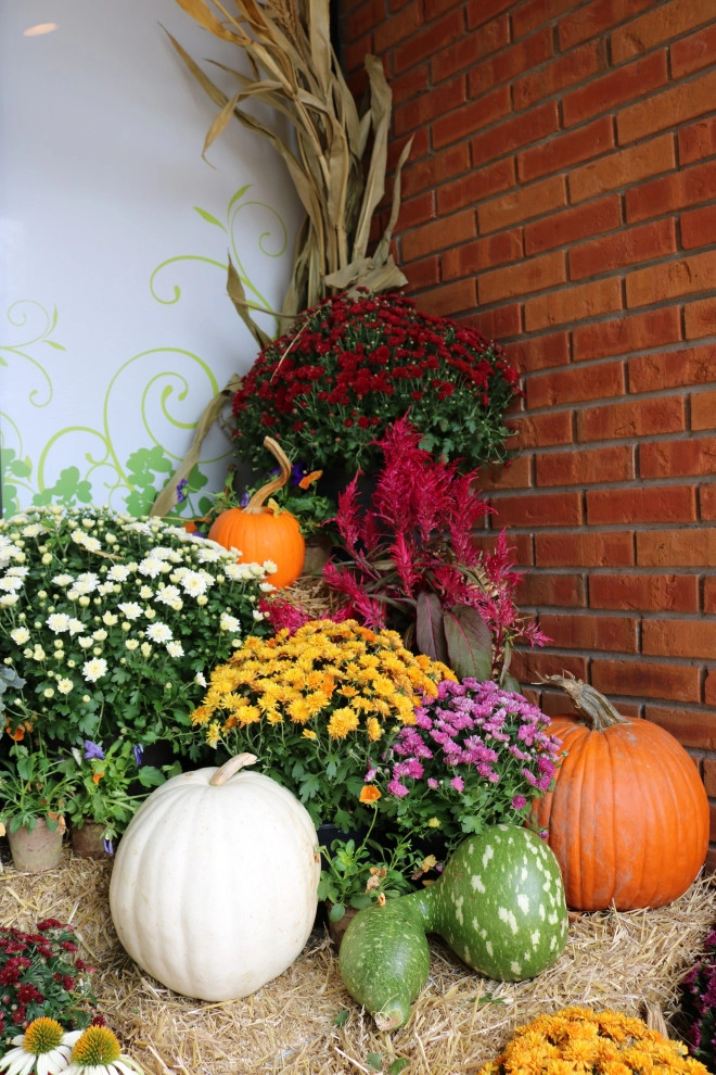Seasonal Services : Autumn & Winter by Quiet Village Landscaping - Photo 6