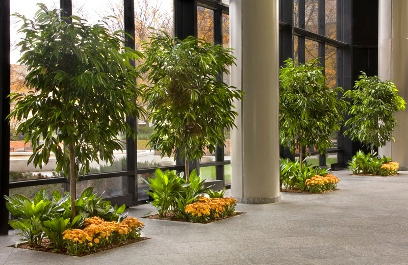 Interior Landscaping by Raimondi Hort Grp | The Little Flower Shoppe - Photo 5