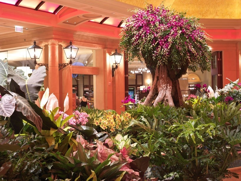 Raimondi Hort Grp | The Little Flower Shoppe - Photo 13