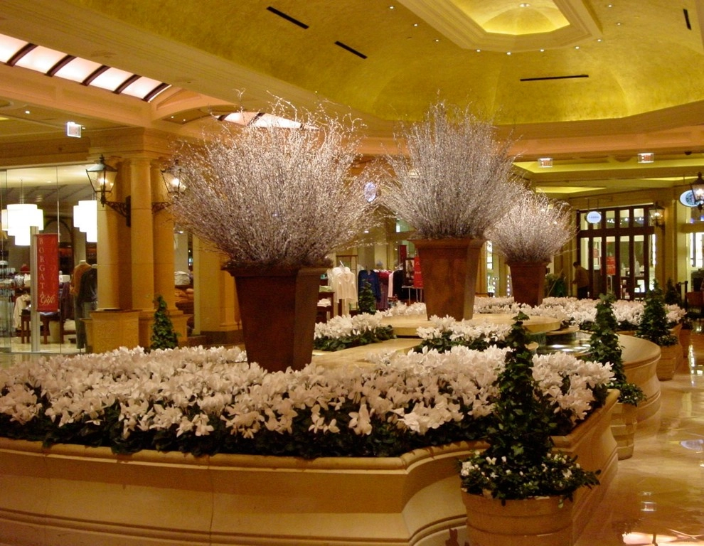 Interior Landscaping by Raimondi Hort Grp | The Little Flower Shoppe - Photo 8