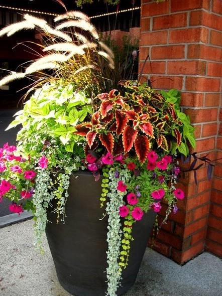 Raimondi Hort Grp | The Little Flower Shoppe - Photo 4