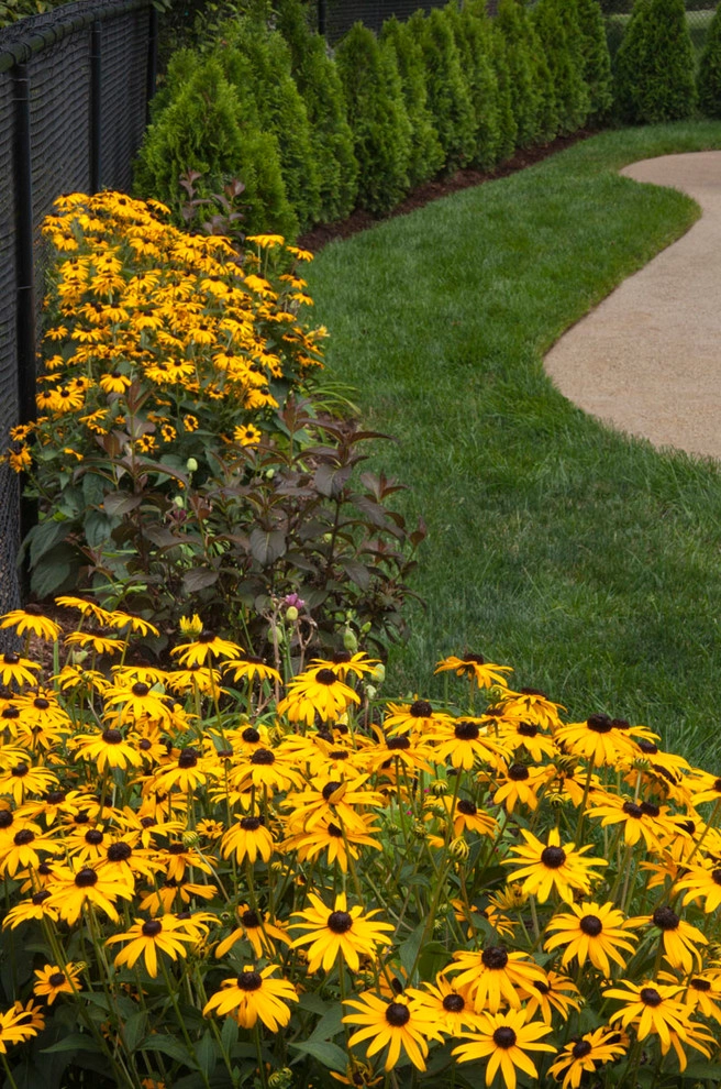 Pool and Patio Landscape Remodel by Raimondi Hort Grp | The Little Flower Shoppe - Photo 4