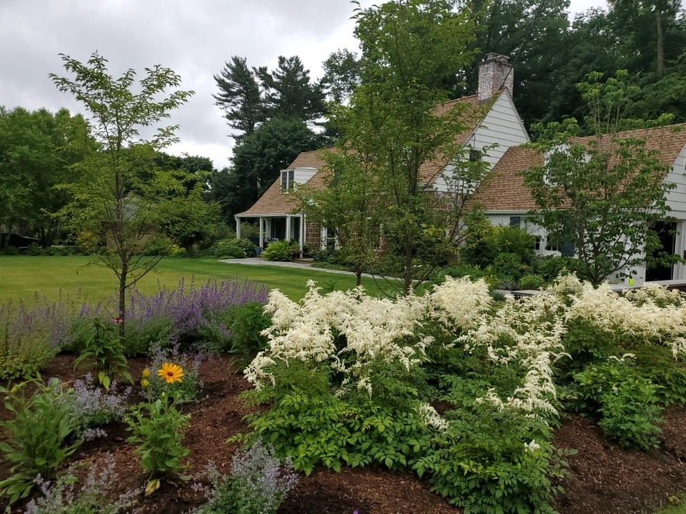 Complete Front and Rear Yard Makeover by Raimondi Hort Grp | The Little Flower Shoppe - Photo 5