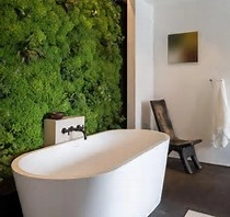 Moss Walls by Raimondi Hort Grp | The Little Flower Shoppe - Photo 7