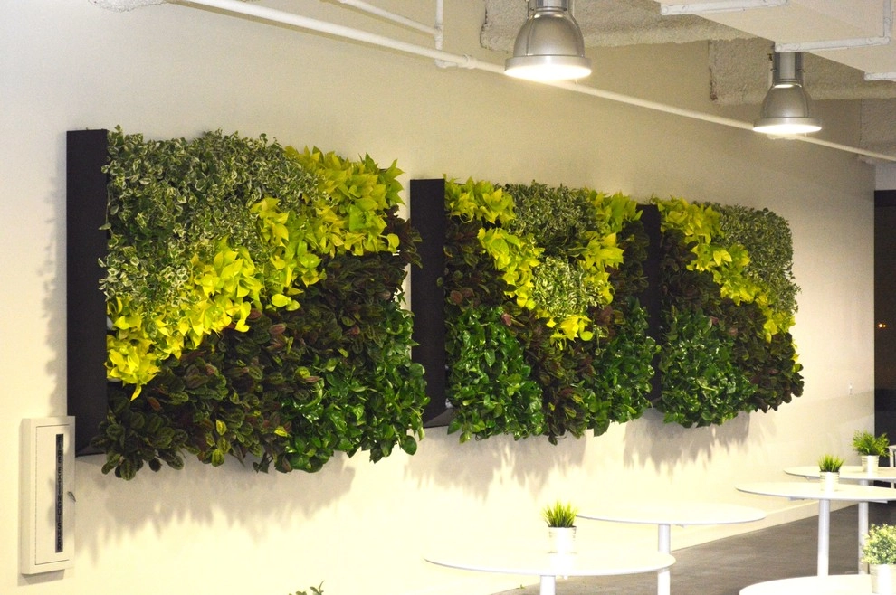 Green and Living Walls by Raimondi Hort Grp | The Little Flower Shoppe - Photo 3