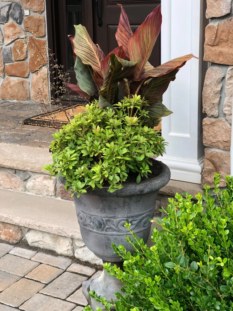 Interior and Exterior Flowering Planters by Raimondi Hort Grp | The Little Flower Shoppe - Photo 4