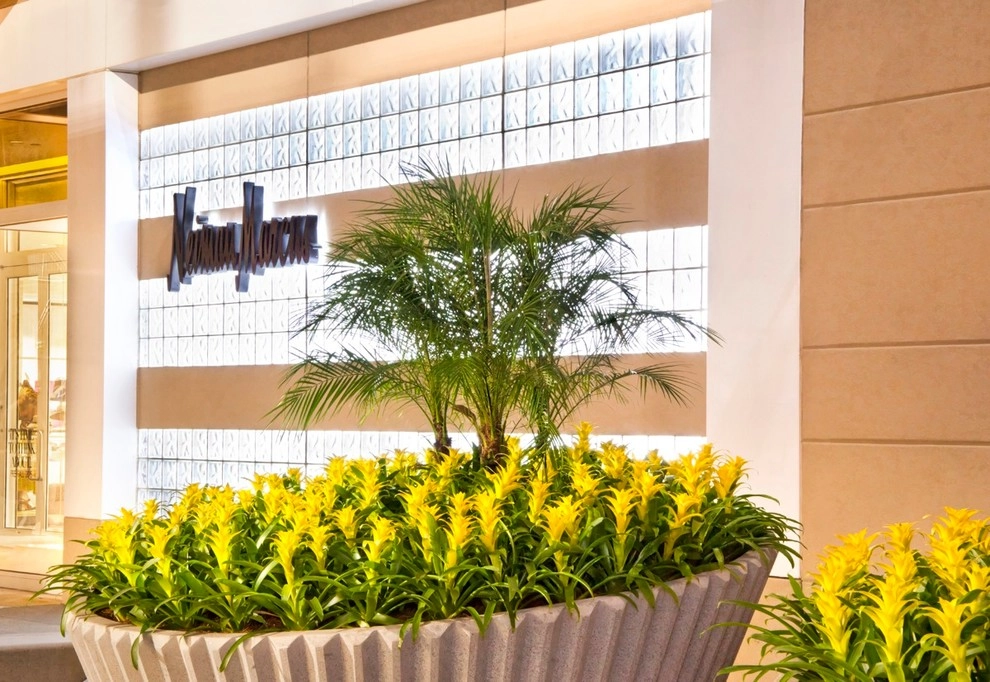 Interior Landscaping by Raimondi Hort Grp | The Little Flower Shoppe - Photo 7
