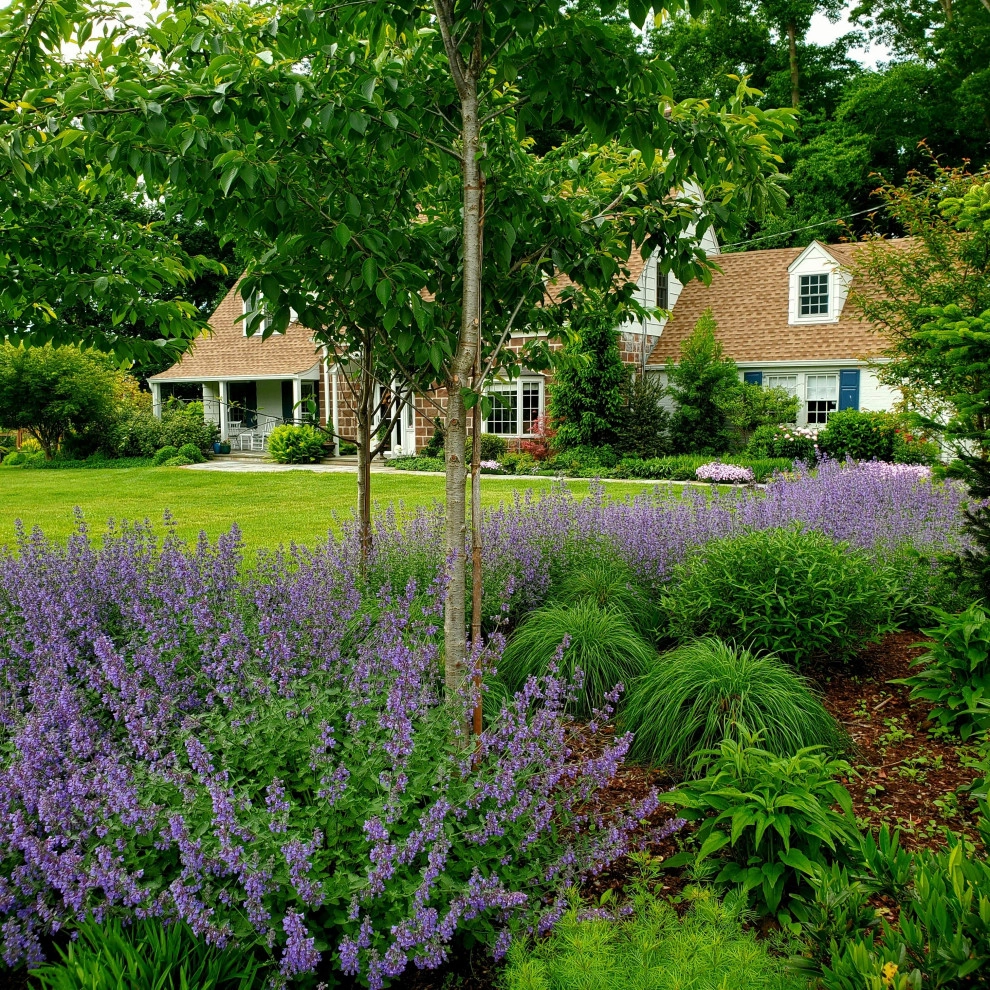 Front and Rear Patio and Planting Design by Raimondi Hort Grp | The Little Flower Shoppe - Photo 5