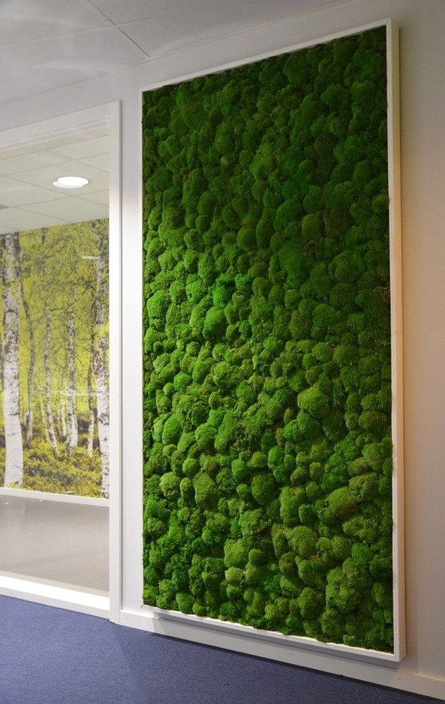Moss Walls by Raimondi Hort Grp | The Little Flower Shoppe - Photo 3