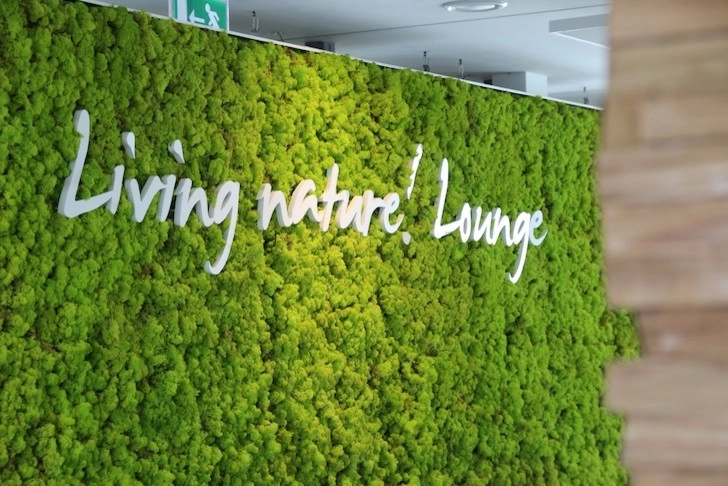 Moss Walls by Raimondi Hort Grp | The Little Flower Shoppe - Photo 6