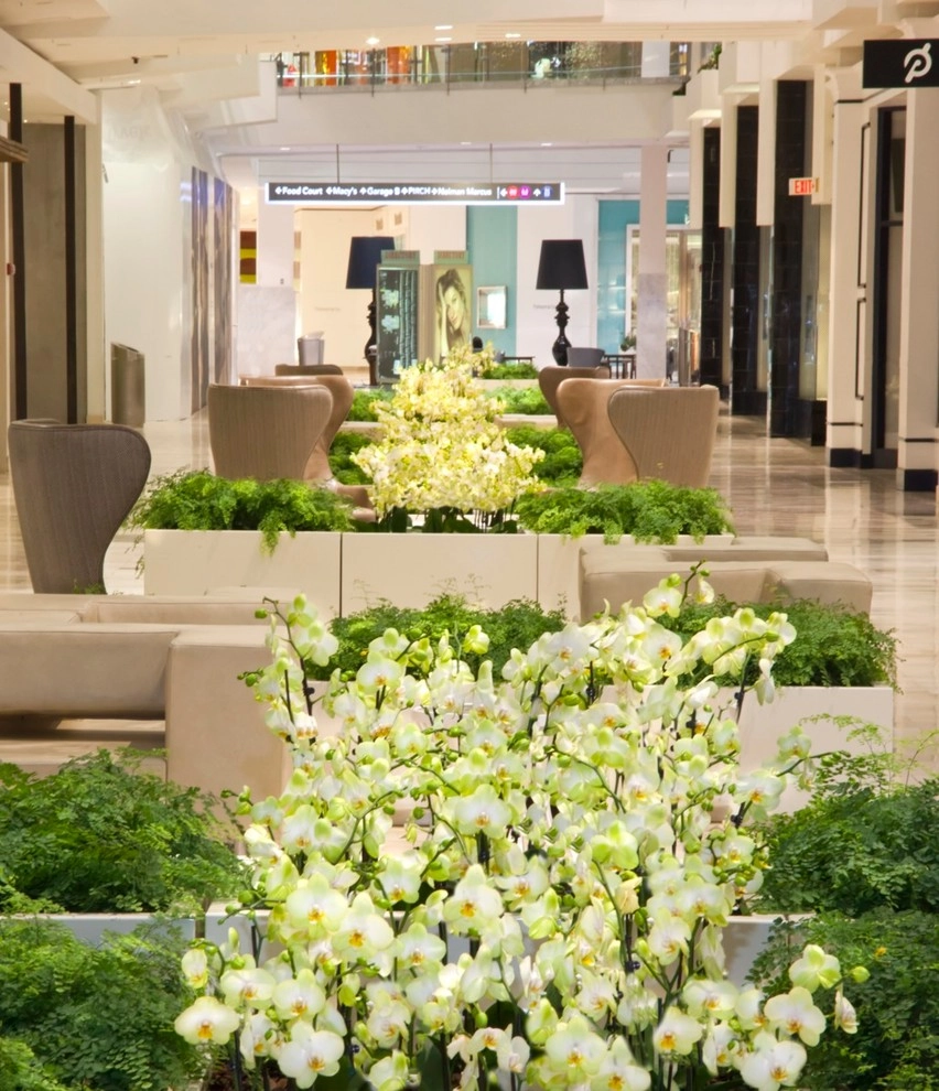 Interior Landscaping by Raimondi Hort Grp | The Little Flower Shoppe - Photo 2