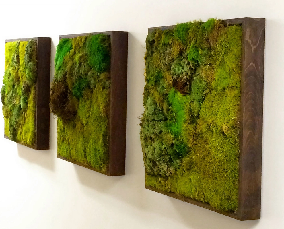 Moss Walls by Raimondi Hort Grp | The Little Flower Shoppe - Photo 5