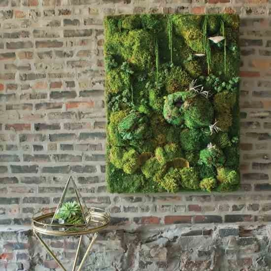 Moss Walls by Raimondi Hort Grp | The Little Flower Shoppe - Photo 4