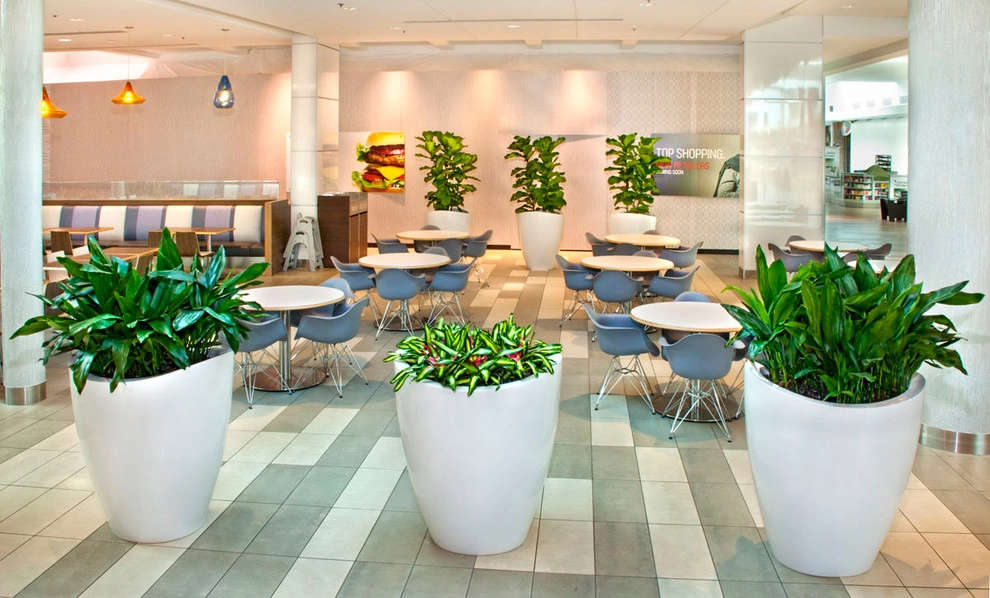 Interior Landscaping by Raimondi Hort Grp | The Little Flower Shoppe - Photo 4