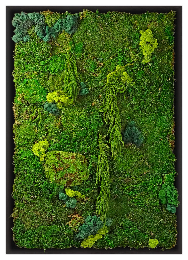 Moss Walls by Raimondi Hort Grp | The Little Flower Shoppe - Photo 2