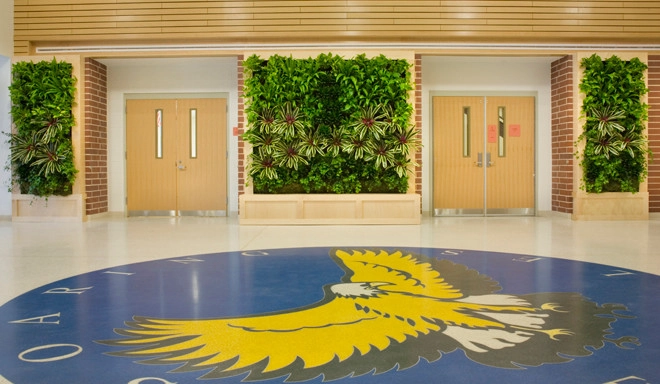 Green and Living Walls by Raimondi Hort Grp | The Little Flower Shoppe - Photo 6