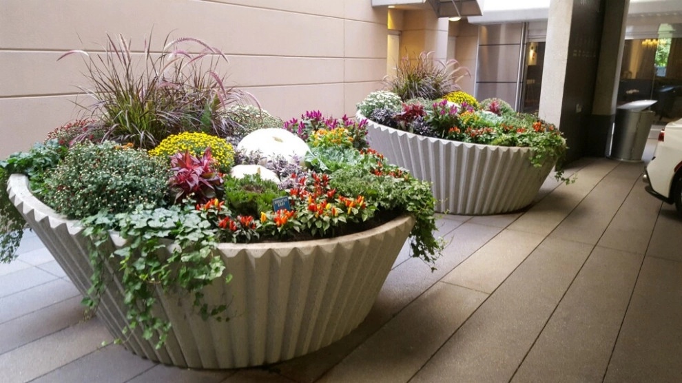 Potted Plants for Residential Spaces by Raimondi Hort Grp | The Little Flower Shoppe - Photo 2