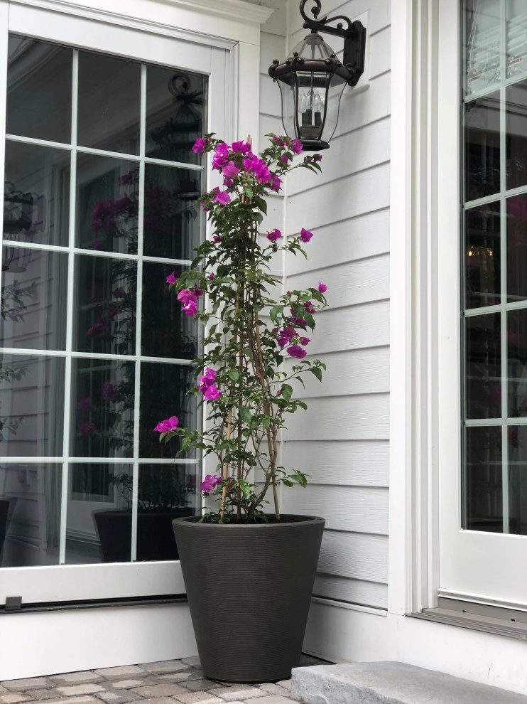 Interior and Exterior Flowering Planters by Raimondi Hort Grp | The Little Flower Shoppe - Photo 5