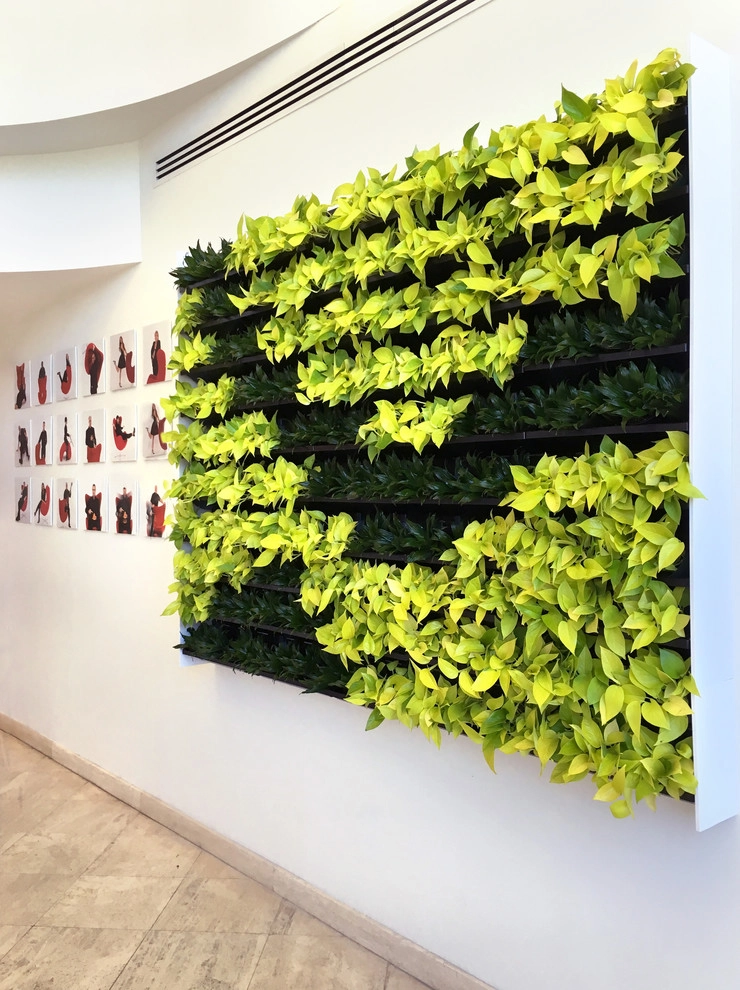 Green and Living Walls by Raimondi Hort Grp | The Little Flower Shoppe - Photo 7